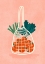 Picture of FRUIT N VEG