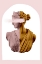 Picture of ARTEMISORANGEPINK RATIO2X3