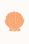 Picture of ORANGECLAMSHELL RATIO2X3