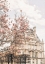 Picture of MAGNOLIAPARIS RATIOISO