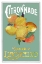 Picture of CITRONNADE LIMONCELLO