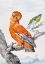 Picture of TWO EXOTIC BIRDS