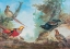 Picture of PHEASANTS