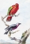 Picture of TWO BIRDS