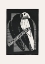 Picture of PARAKEETS