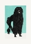 Picture of POODLE