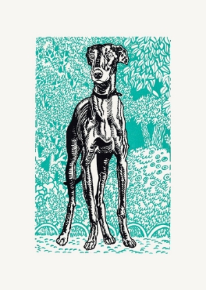Picture of GREYHOUND