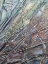Picture of ABSTRACTION 11