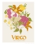 Picture of JLR VIRGO