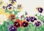 Picture of VINTAGE PANSY FLOWER NO.2