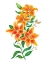 Picture of ORANGE LILES