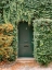 Picture of IVY COVERED HOUSE IN MONTMARTRE PARIS