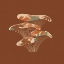 Picture of MUSHROOM