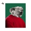 Picture of KOALA MAN