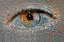 Picture of NEW OEIL 07 2