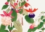 Picture of FUCHSIA FLOWER NO.2