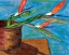 Picture of STRELITZIA BY COLLEEN HEFER