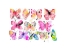 Picture of BUTTERFLIES SPLATTER WATERCOLOR