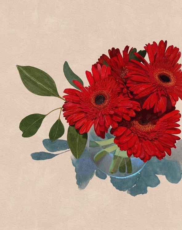 Picture of GERBERA DAISY