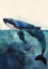 Picture of ANIMAL WATERCOLOR ART SEA LIFE WHALE