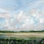 Picture of WIND A WILDFLOWERS