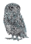 Picture of BABY OWL
