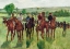 Picture of THE RIDERS