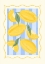 Picture of LEMONS OF ITALY