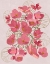 Picture of JAPANESE QUINCE