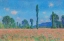 Picture of POPPY FIELD