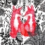 Picture of FOXES