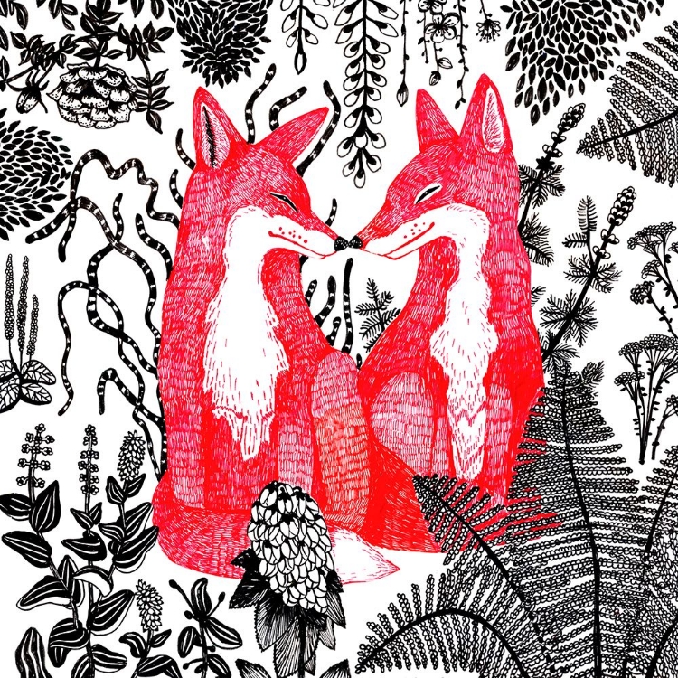 Picture of FOXES