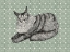 Picture of MAINE COON