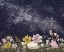 Picture of GALAXY IN BLOOM COLOUR ORIGINAL