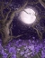 Picture of MOONLIGHT AND PURPLE FOREST GARDENS LARGE
