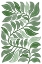 Picture of GREEN PLANT