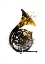 Picture of BLACK AND GOLD MUSIC ART FRENCH HORN