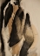 Picture of METAMORPHOSIS