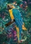 Picture of TROPICAL FLORAL JUNGLE - MACAW
