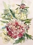Picture of GENTLE PEONIES