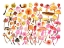 Picture of FOREST PSYCHEDELIC MUSHROOMS