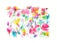 Picture of PAINTERLY FLOWERS
