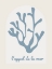 Picture of CORAL