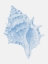 Picture of ONE BLUE CONCH