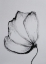 Picture of FLOWERS 73