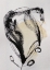 Picture of FLOWER 48