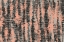 Picture of PATTERNNO183