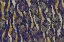 Picture of PATTERNNO185