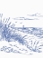 Picture of SAILING SKETCH 18X24