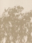 Picture of WILD FLOWERS IN OCHRE AND WHITE